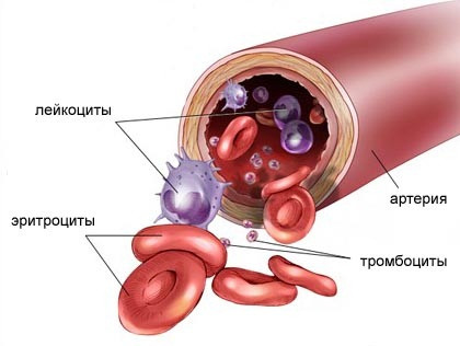 Гематология в Израиле