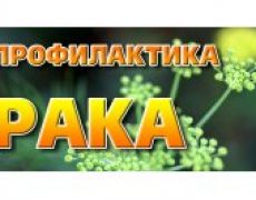 Профилактика рака: общие рекомендации