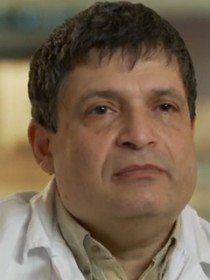 eli ashkenazi