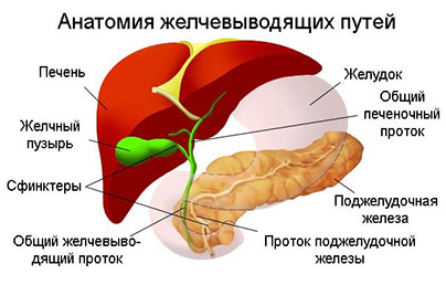 Рак желчного пузыря: проявление